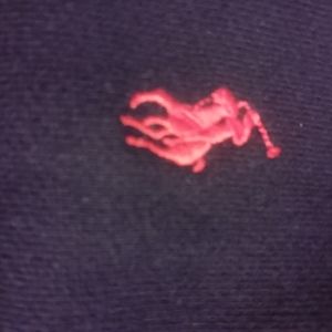 POLO RALPH LAUREN ZIP HOODIE